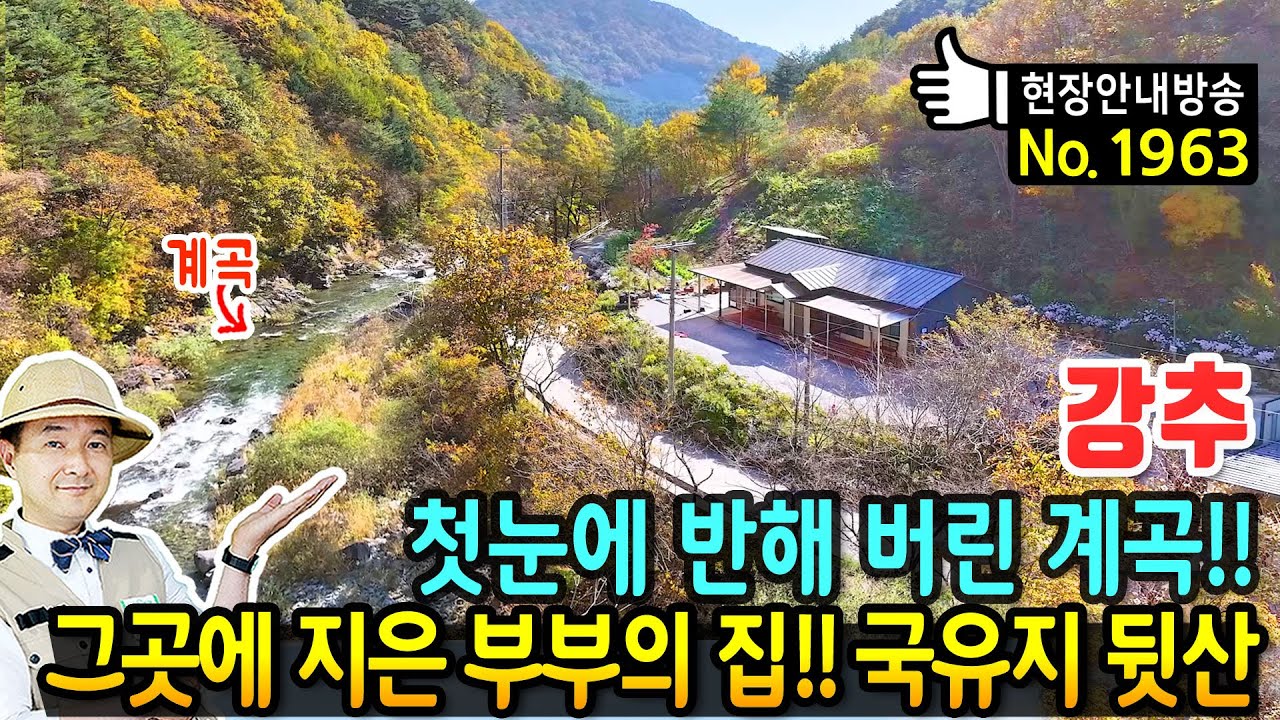 (강추) 첫눈에 반해 버린 계곡에 지은 부부의 집 전원주택 매매 국유지 6백만평 뒷산과 텃밭 넉넉한 주차공간 주택 숫자 미포함 모든 것이 힐링이 되는 정선부동산 - 발품부동산TV