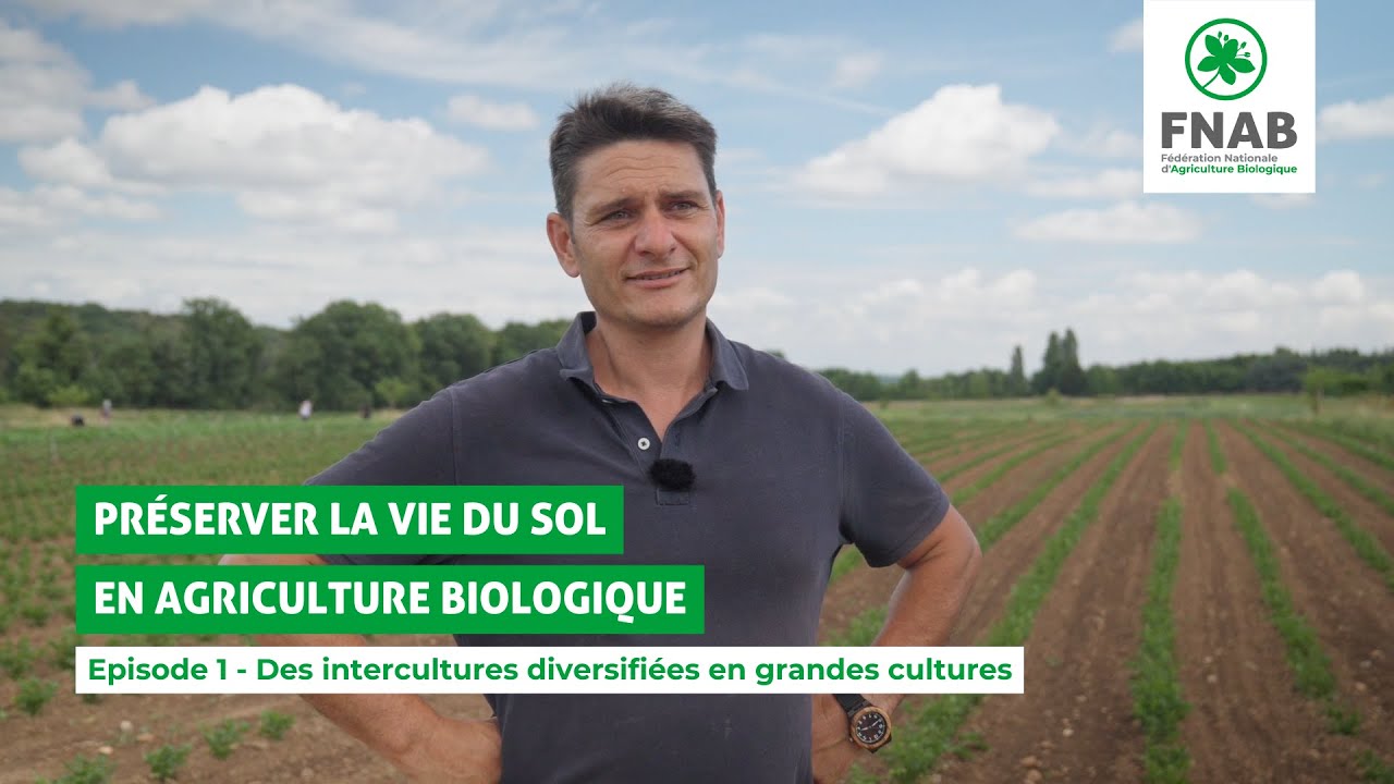 Préserver la vie du sol en agriculture bio - Des intercultures diversifiées en grandes cultures 🌾