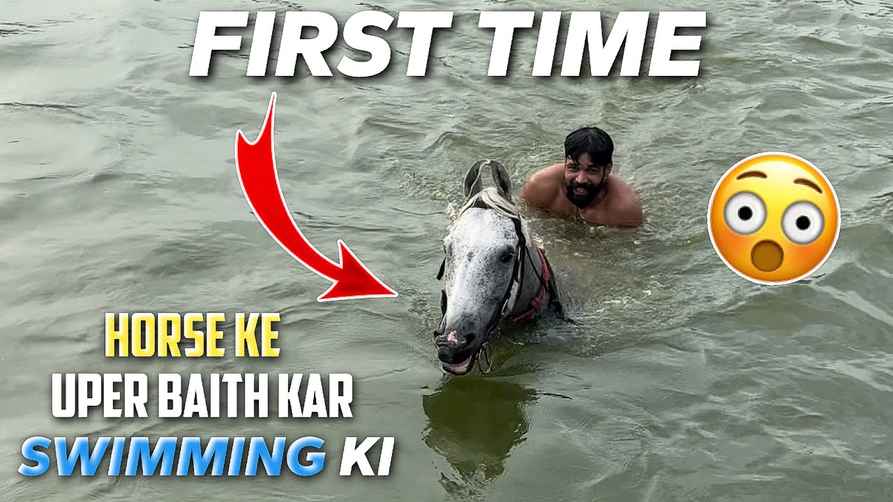 HORSE RIDING SPECIAL VLOG.