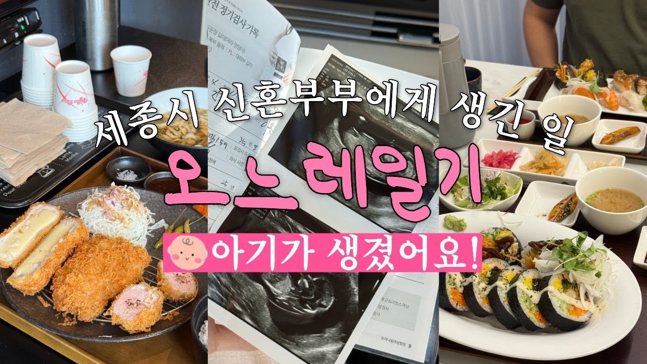 세종시 신혼부부 브이로그 임신초기에도 찾아간 세종 찐맛집