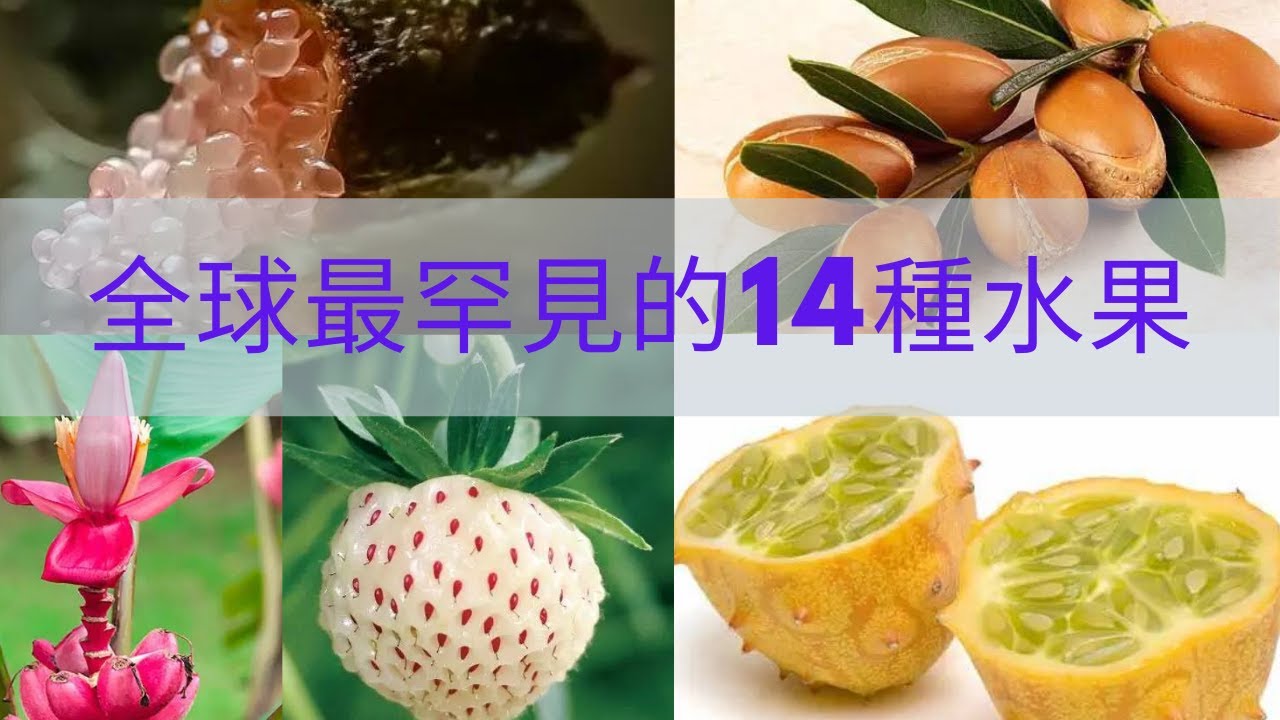 全球最罕見的14種水果，98%的人都沒有見過！