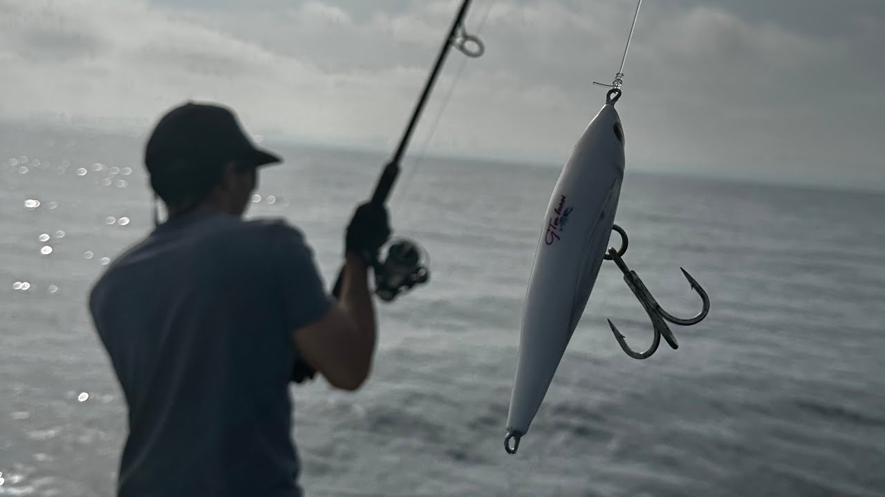 Bluefin Tuna on stickbaits | Topwater fishing | Season 2023 [Part 1]