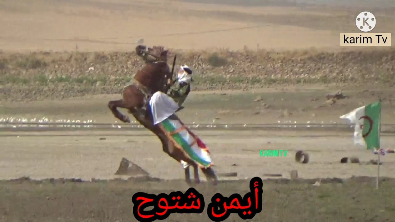 عرس لخروف بوشمال فرسان مرسط ايمن شتوح فرسان بسكرة وسطيف وبريش وفكرون بالهرية إبن باديس بالخروب