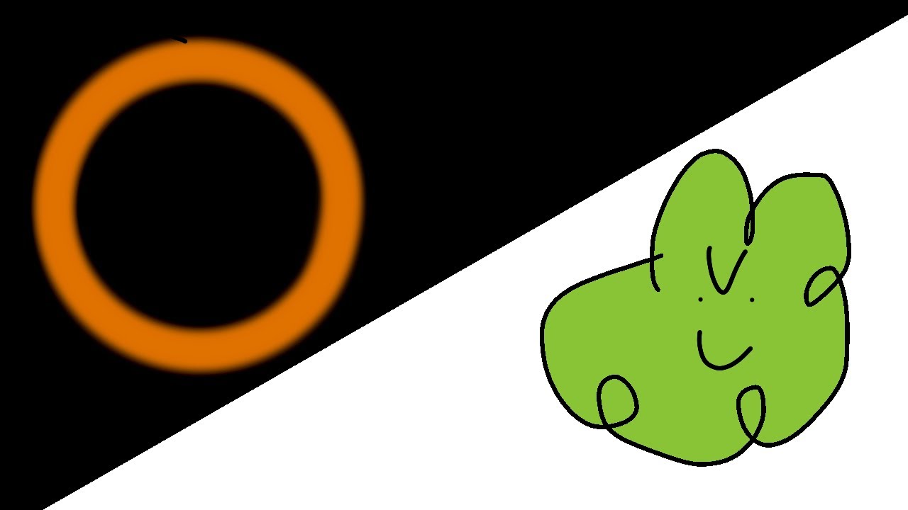 Smoodle and the solar eclipse