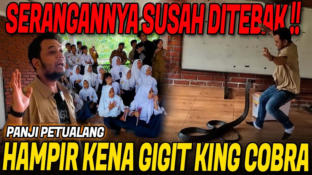 BAWA KING COBRA GALAK KE SEKOLAH BIKIN SEMUA MURID HEBOH KETAKUTAN‼️