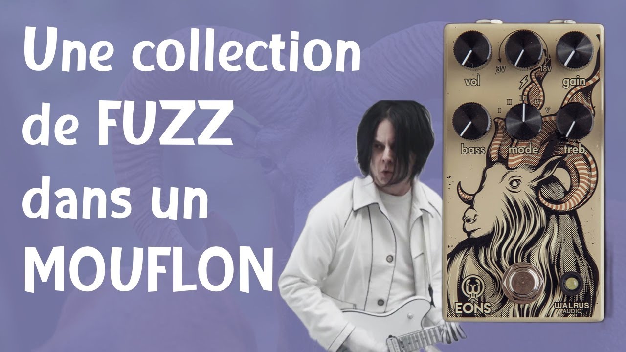 La MUFF la plus FLEXIBLE à l'heure actuelle ? Walrus Eons Fuzz