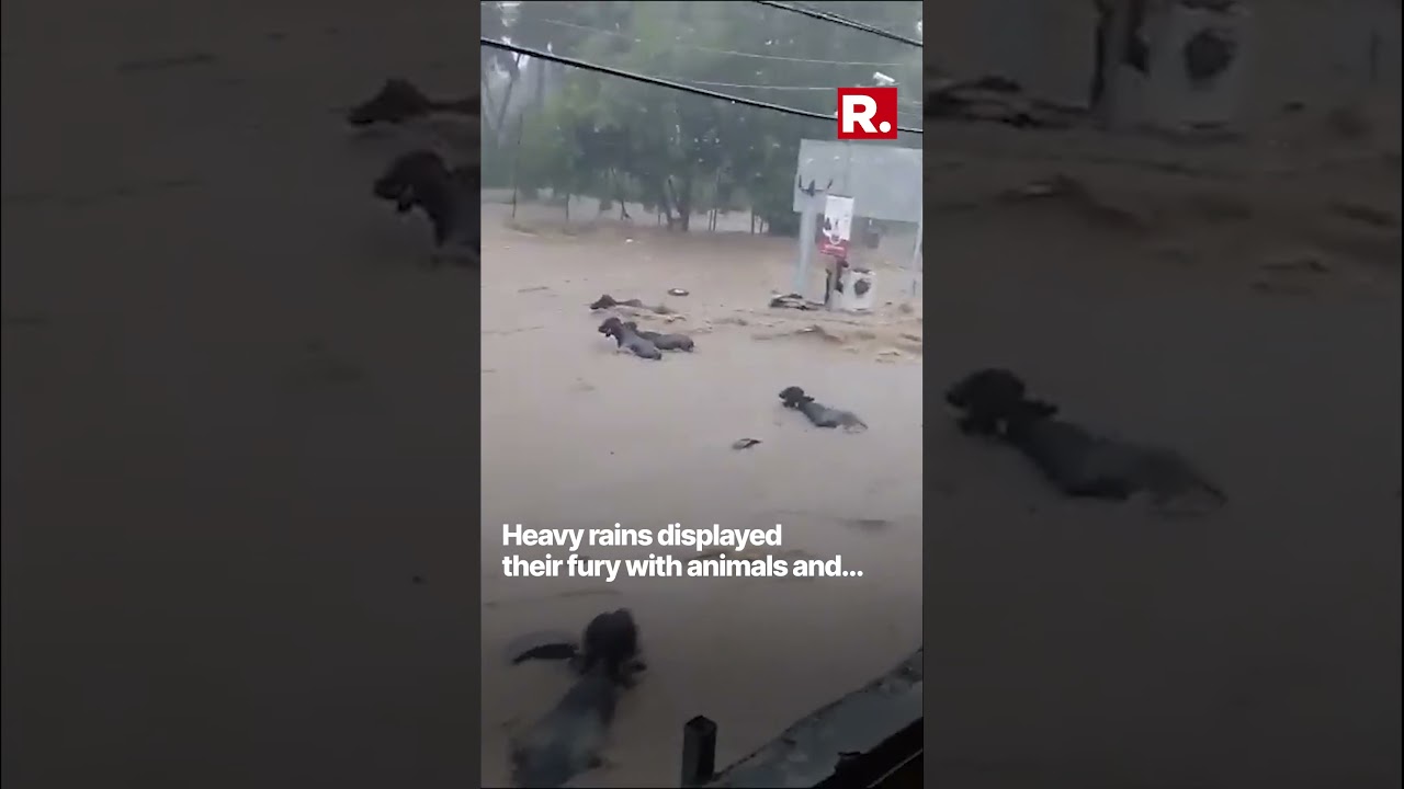 Flood-like situation in Gujarat's Junagadh due to heavy rains, NDRF rescues several people