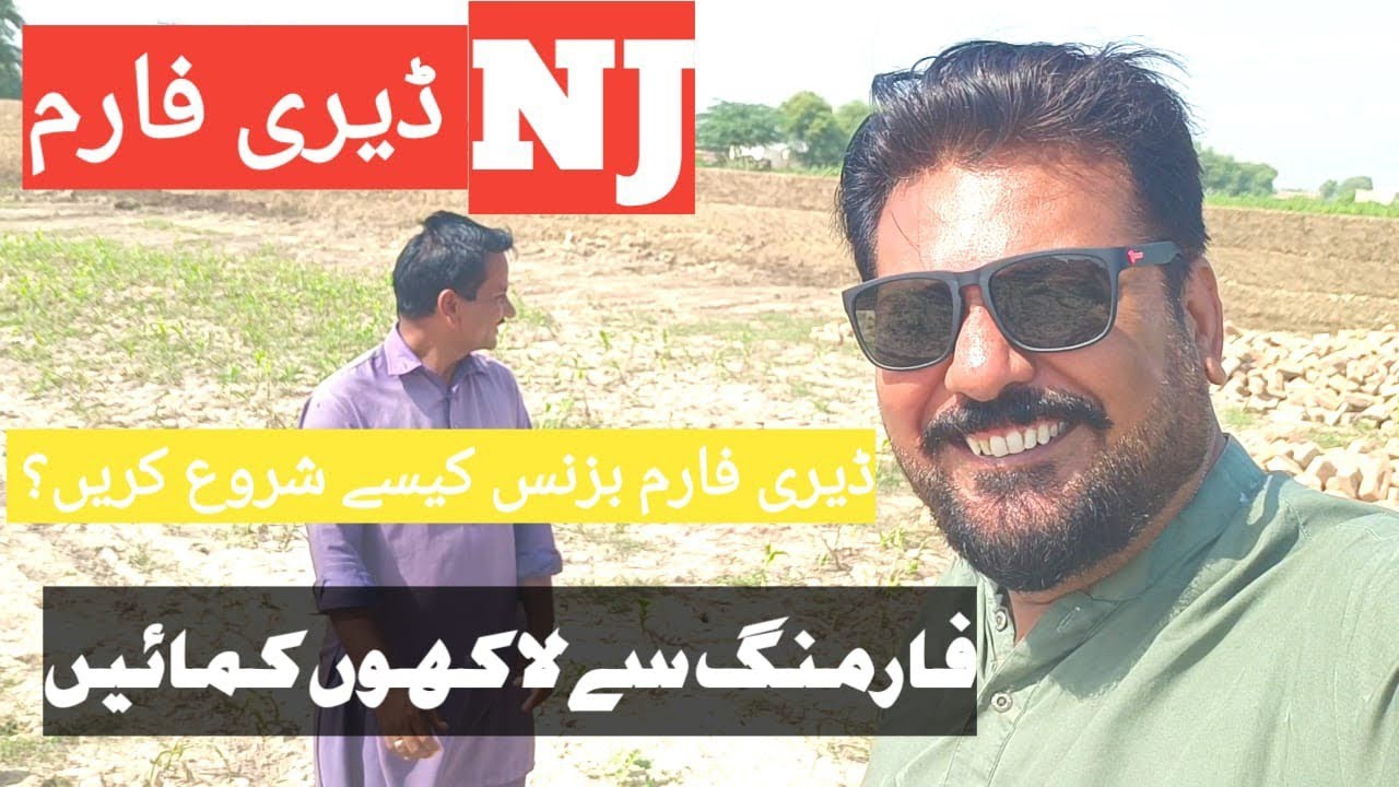 ڈیری فارم بزنس کیسے شروع کریں ! 