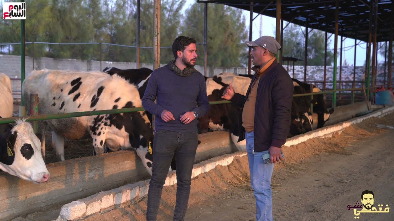 مشروع أبقار يديك 50 كيلو لبن كل يوم.. محتاجة مواتير حلب | فتحى شو