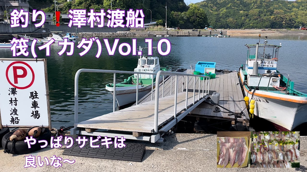 釣り❗️澤村渡船　筏(イカダ)Vol.10 やっぱりサビキはいいな〜