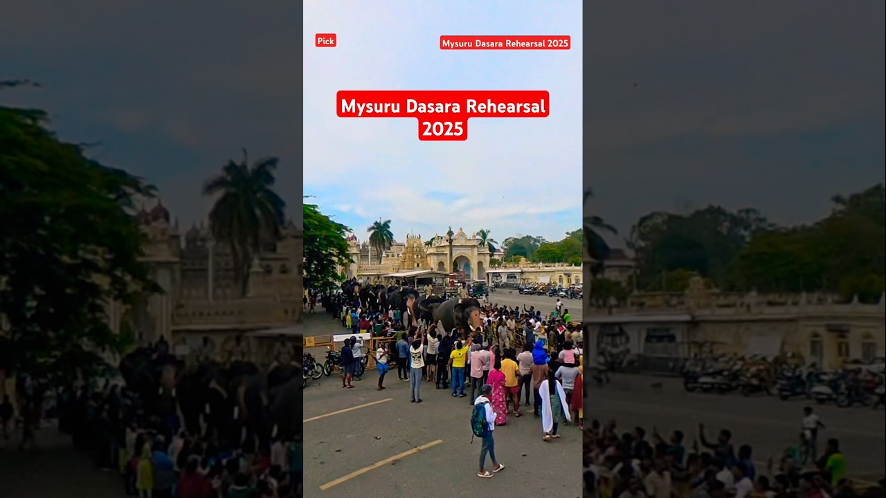 0607 Mysuru Dasara Elephant Rehearsal 2025