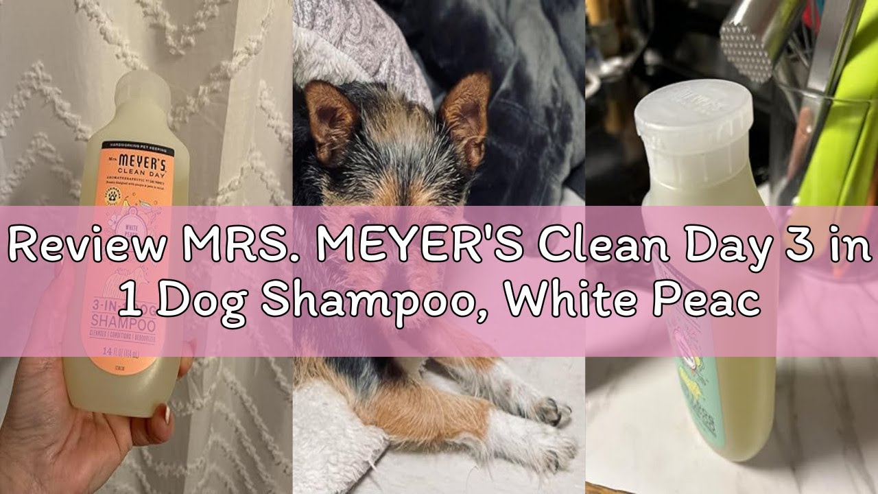 Review MRS. MEYER'S Clean Day 3 in 1 Dog Shampoo, White Peach Scent, 14oz