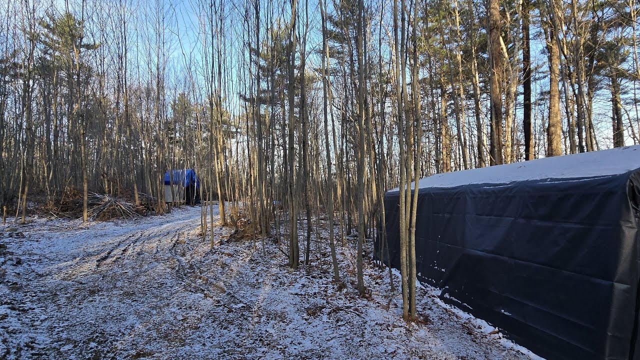Maine Land - Progress Update #12
