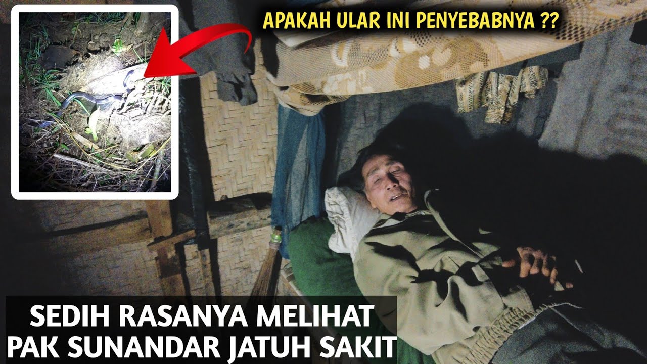 SEDIH PAK SUNANDAR JATUH SAKIT, ANEHNYA TIBA-TIBA MUNCUL ULAR BERBISA
