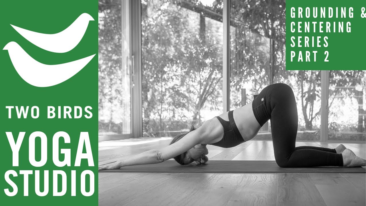 45 Minute Vinyasa (Grounding & Centering Series Pt 2 -15 Feb '23)