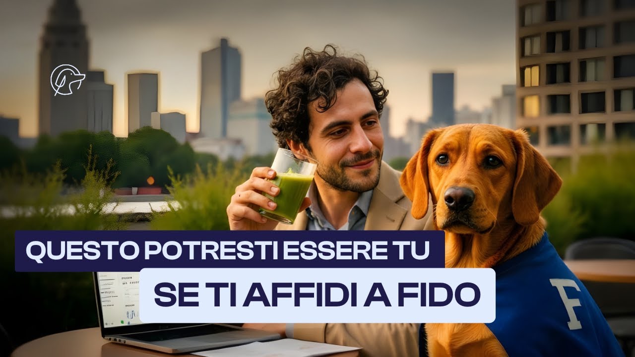 Come funziona FidoCommercialista?