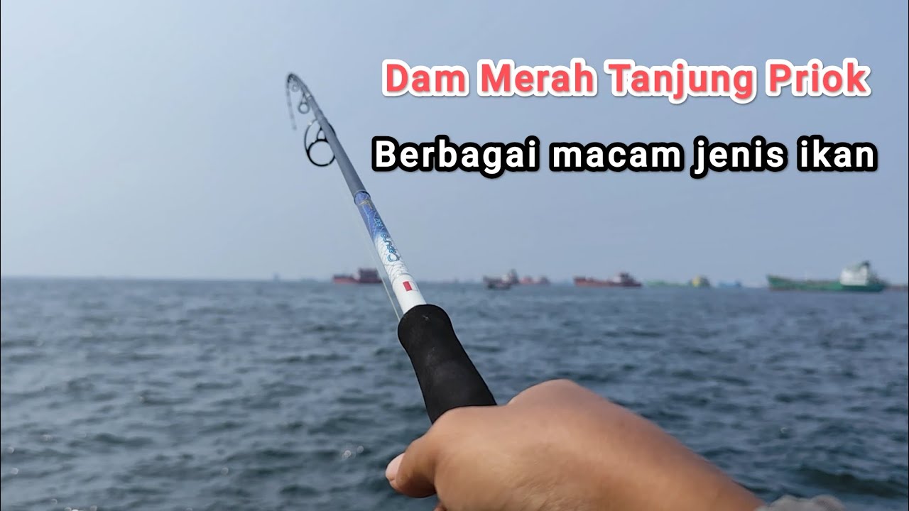 STRIKE BERUNTUN DI DAM MERAH! 8 Tarikan, 3 Jenis Ikan Sekaligus | Mancing Laut Tanjung Priok