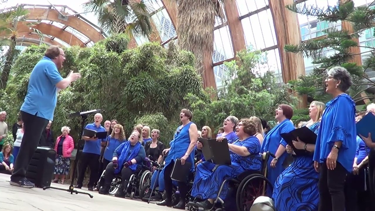 BeVox - July 2022 - Shefield Winter Gardens - Make Your Own kind of Music