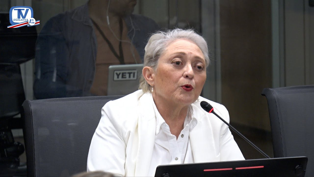 Ex ministra denuncia presiones del Presidente de la República sobre pauta publicitaria