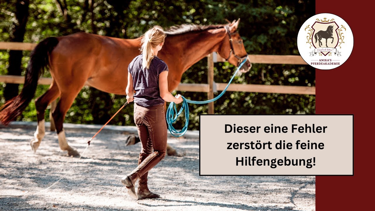 DAS solltest du beim Longieren auf jeden Fall vermeiden.