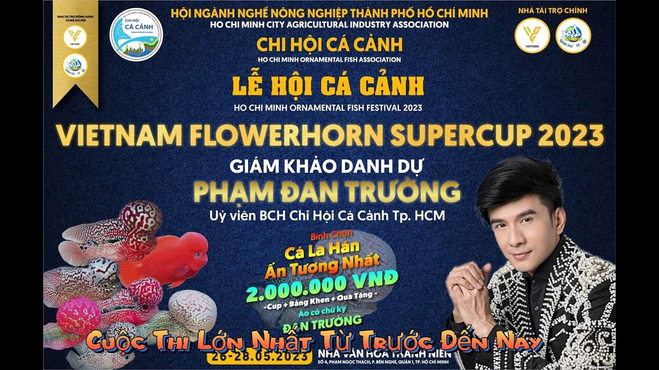 Toàn Cảnh Cuộc Thi Cá La Hán Năm 2023 (Lớn Nhất Từ Trước Đến Nay - Ca Sĩ Đan Trường Làm Giám Khảo)