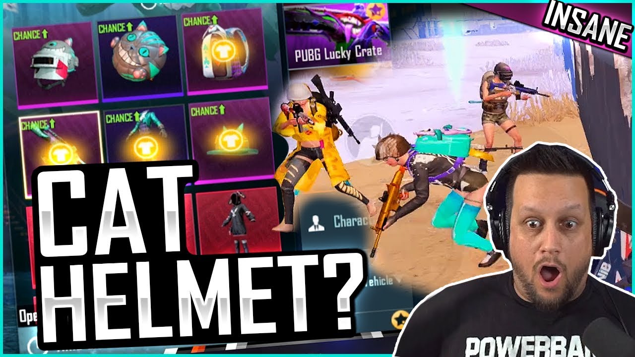 Can Cat Helmet Give Me 9 Lives?