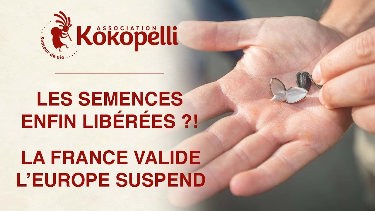 Les semences enfin libérées ?! La France valide, l'Europe suspend.