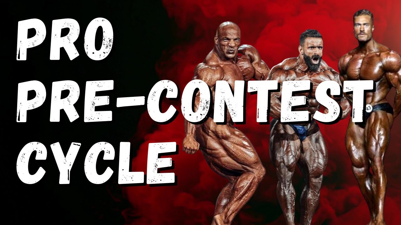 Pro Bodybuilder Pre-Contest Cycle Example
