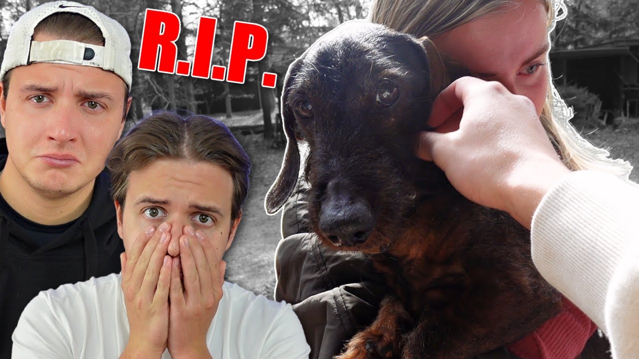 et sidste farvel til lille sorte Sambo... (Sort og Klam) VLOG