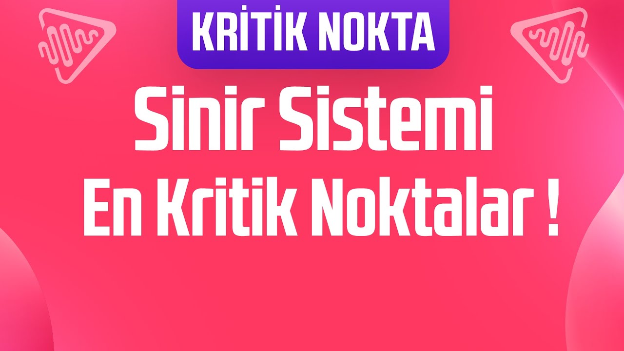 Kritik Nokta : Sinir Sistemi ile İlgili Bu Kısımlara DİKKAT!