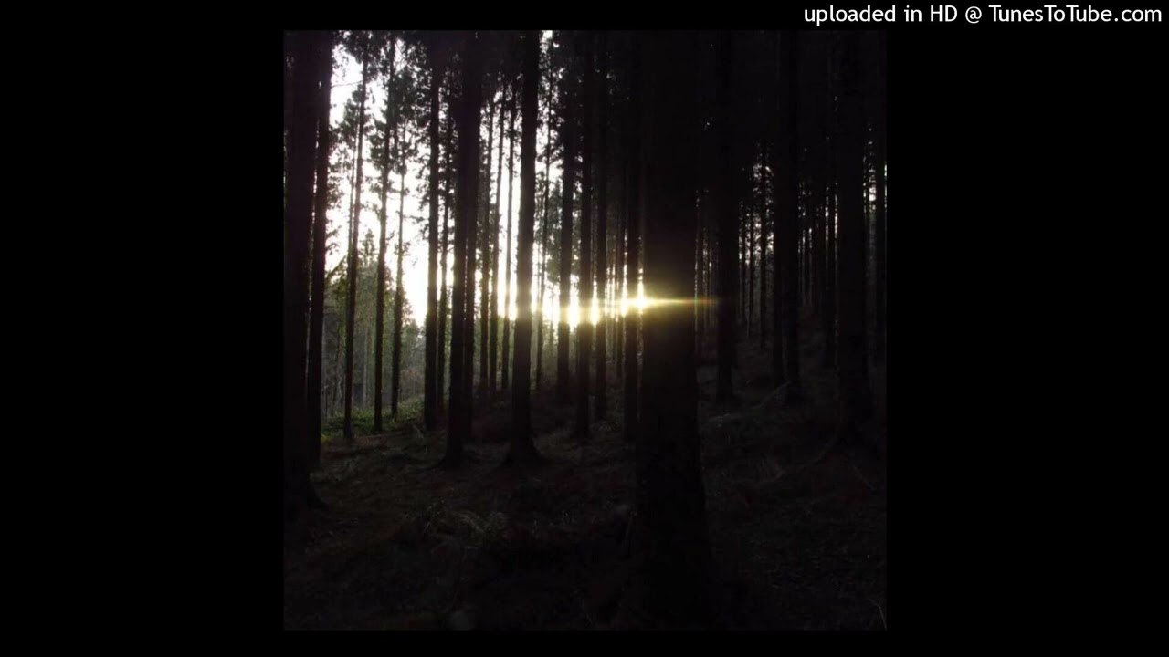free ambient + izaya tiji + fk type beat - 