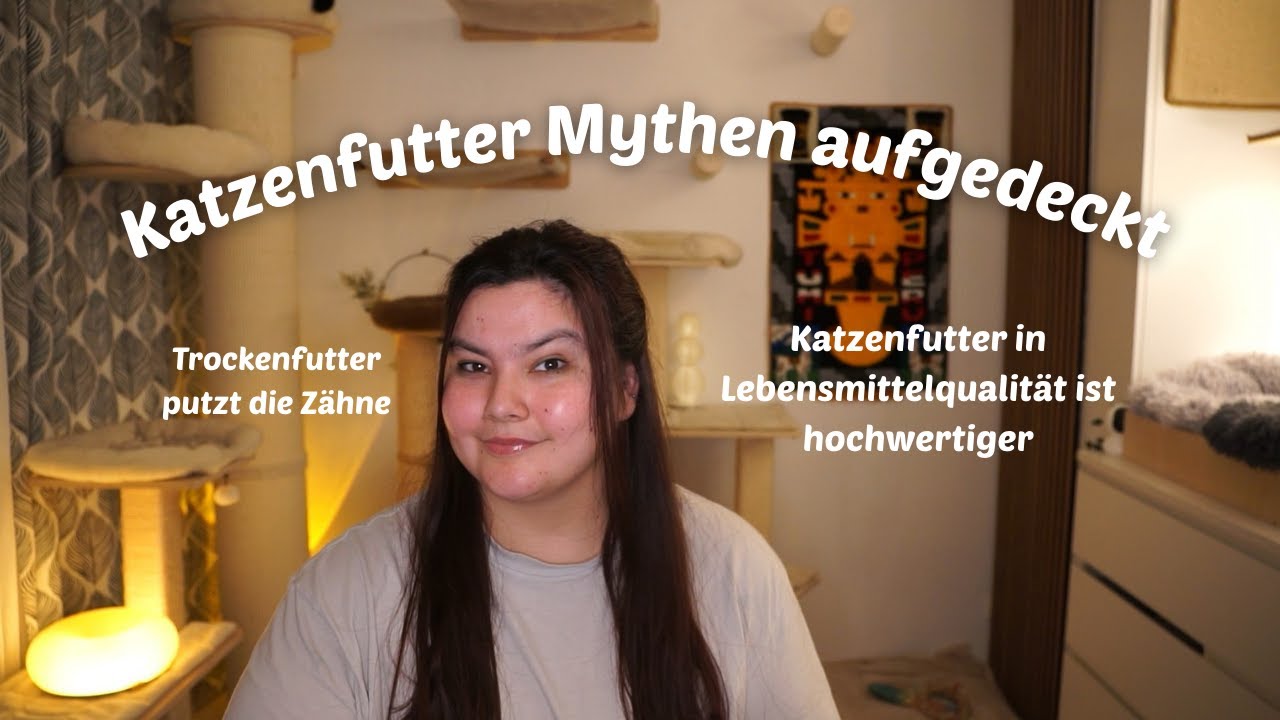 Katzenfutter Mythen aufgedeckt | CatWissen
