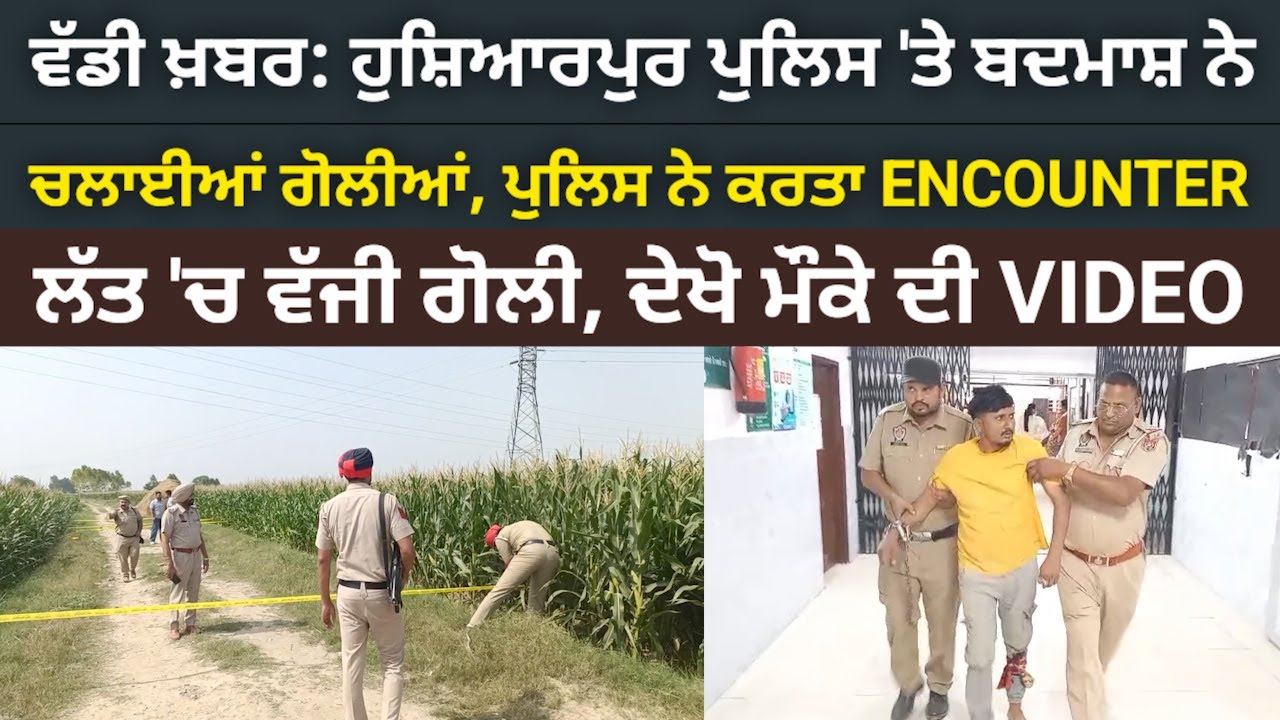 ਵੱਡੀ ਖਬਰ: ਹੁਸ਼ਿਆਰਪੁਰ 'ਚ ਬਦਮਾਸ਼ ਨੇ ਪੁਲਿਸ 'ਤੇ ਚਲਾ ਦਿੱਤੀਆਂ ਗੋਲੀਆਂ, ਪੁਲਿਸ ਨੇ ਕਰਤਾ ENCOUNTER