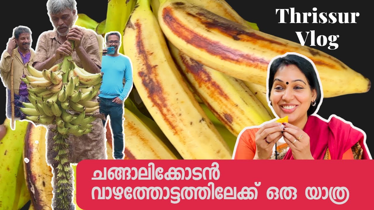 തൃശ്ശൂരിന്റെ സ്വന്തം ചങ്ങാലിക്കോടൻ തേടി വാഴത്തോപ്പിലേക്കൊരു ഒരു യാത്ര | Chegalikkodan  Banana  Fry