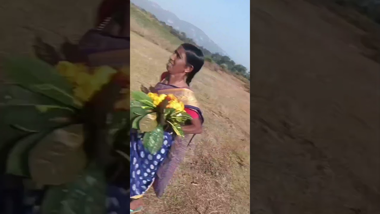Makar mela bulei nebo take 