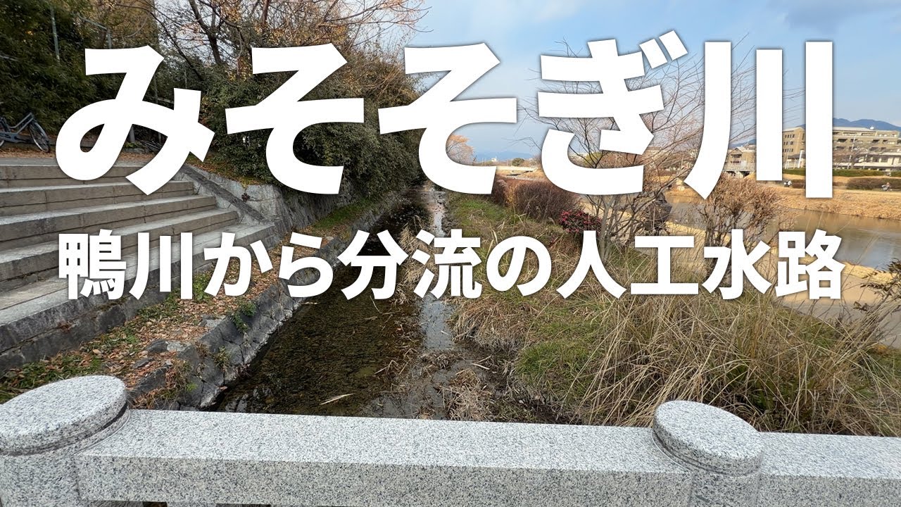 【みそそぎ川】鴨川から分流・取水される全長約2〜2.5kmの人工水路（2026年1月24日）