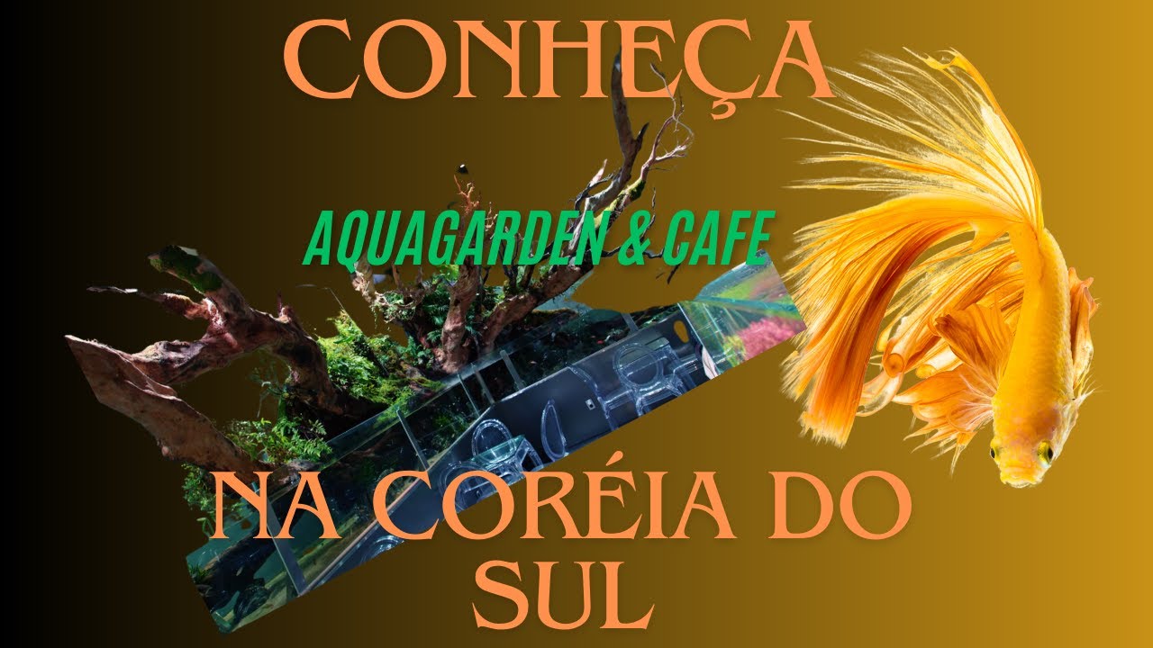 Conheça o aquagarden e café, na Coréia do sul