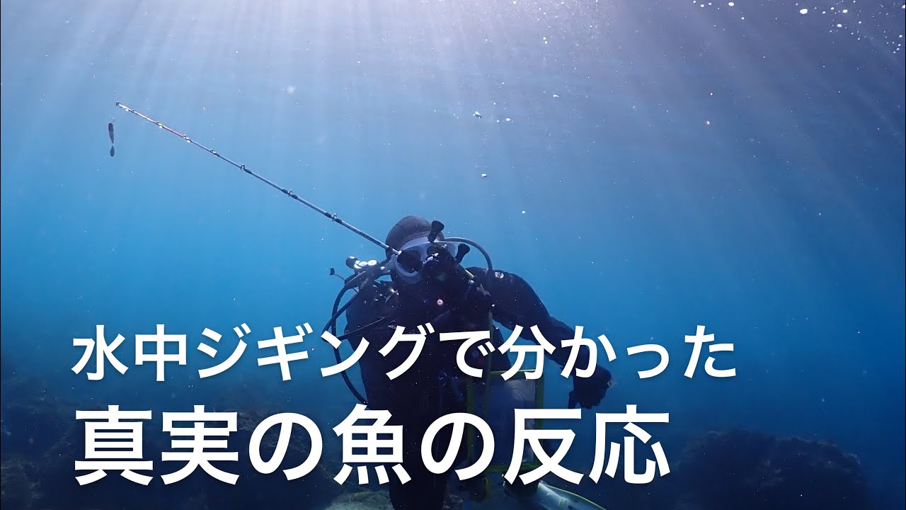 【水中ジギング】オオモンハタの意外な反応とは？ジギングの技術を上げたい方必見です
