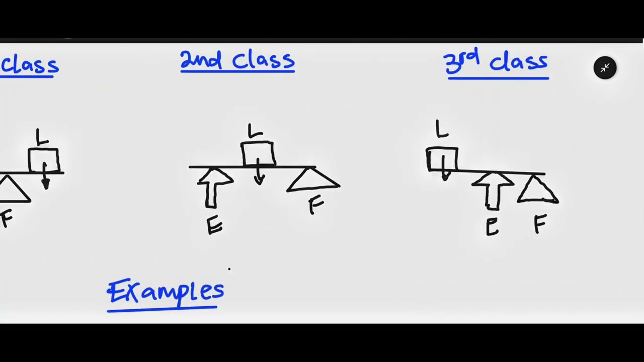 Movement Analysis (OCR GCSE PE) | Super PE Online 