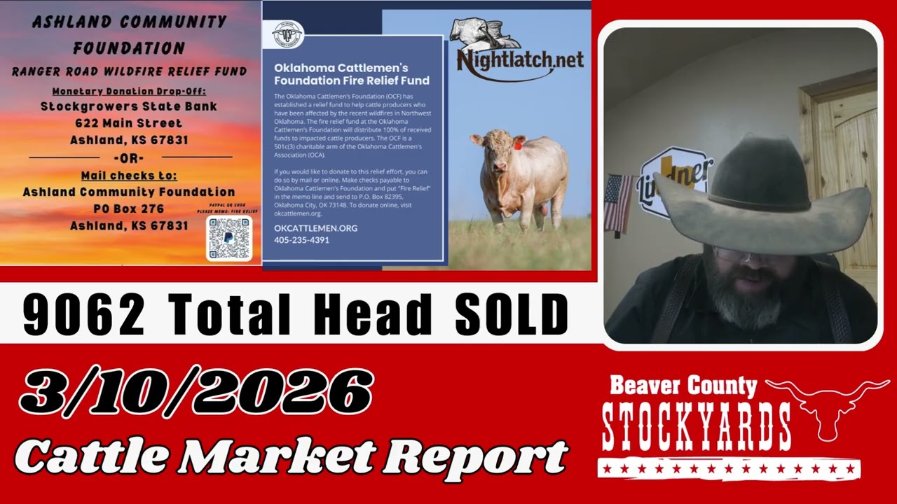 Отчет о рынке крупного рогатого скота от 10.03.2026