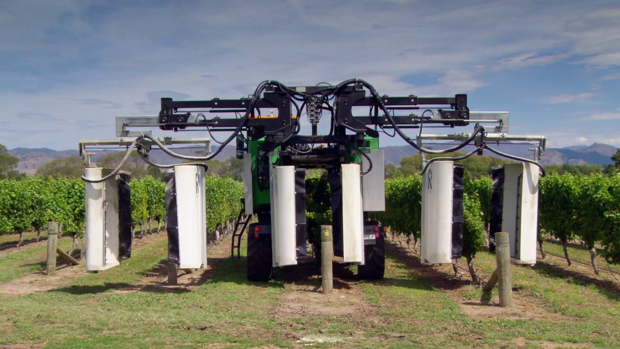 Designing for Viticulture at FMR Group