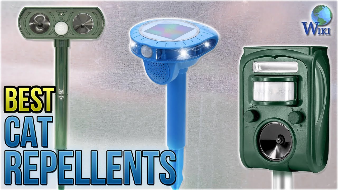 9 Best Cat Repellents 2018