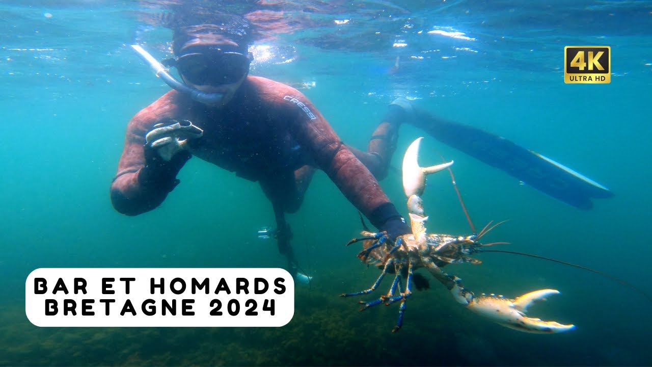 Je pêche un gros homard dans l'eau turquoise ! Chasse sous marine Bretagne sud