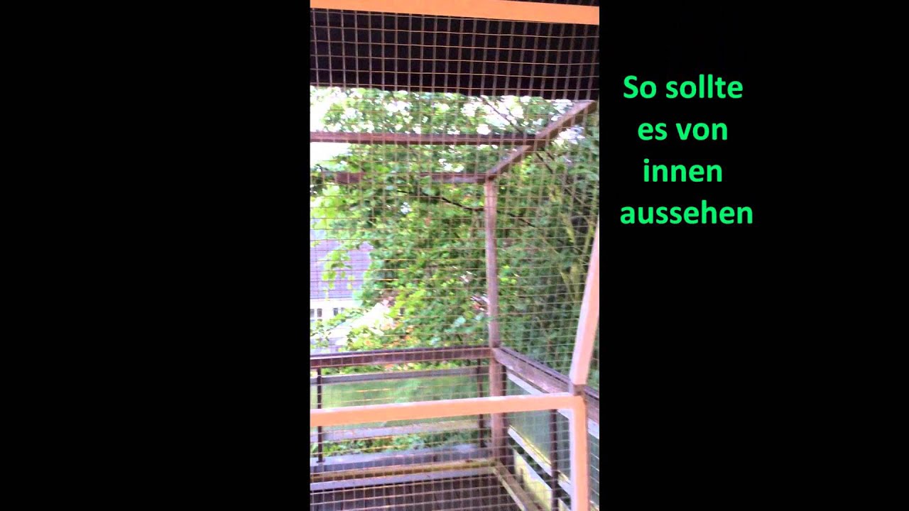 Einbauvideo Katzenbalkon