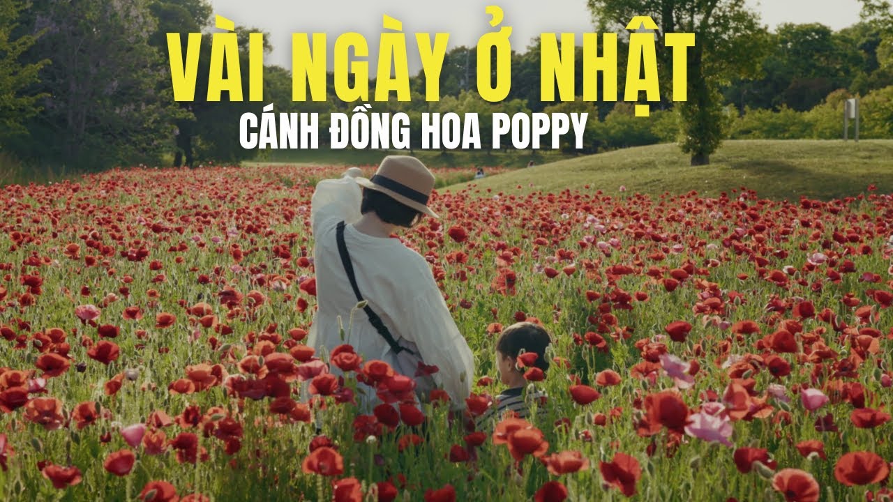 1 ngày cực chill ở Nara | Khám phá công viên địa phương 🚃 Japan Vlog