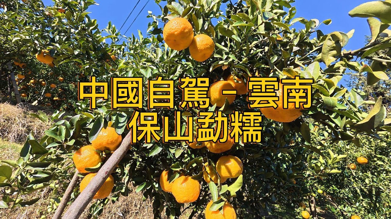 繼續出發Keep Going (106)–中國自駕–雲南–保山勐糯–臨滄永康镇–勐糯大寨景区小海濕地