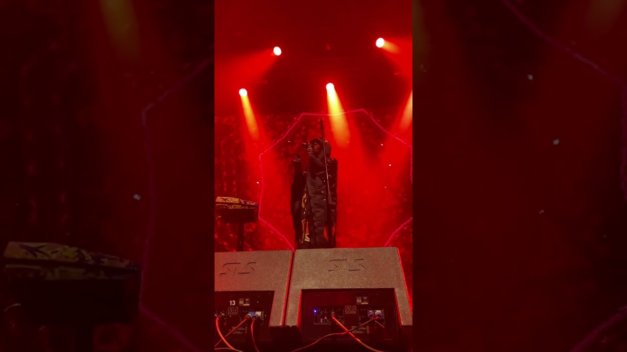 Carpetman live performance from the front row😍Make it Lower 