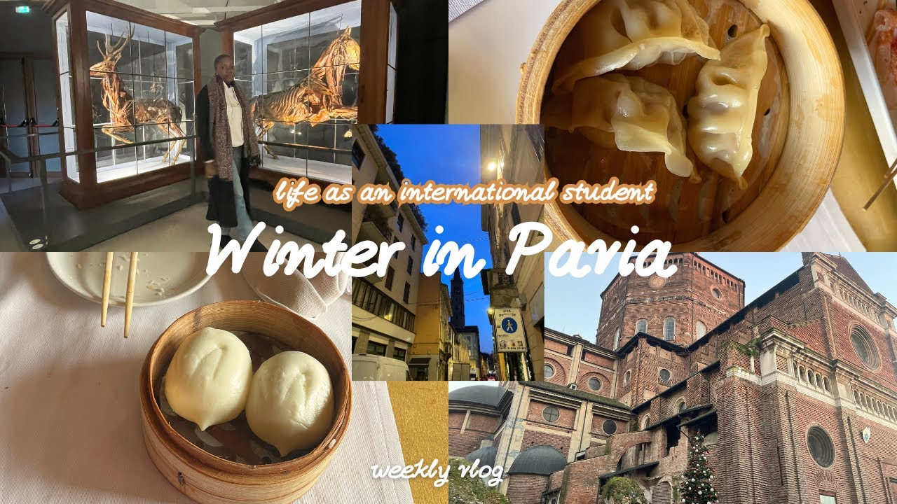 A Week in my life as an International Student living in Pavia 🇮🇹 . 🌨️⛄️☃️