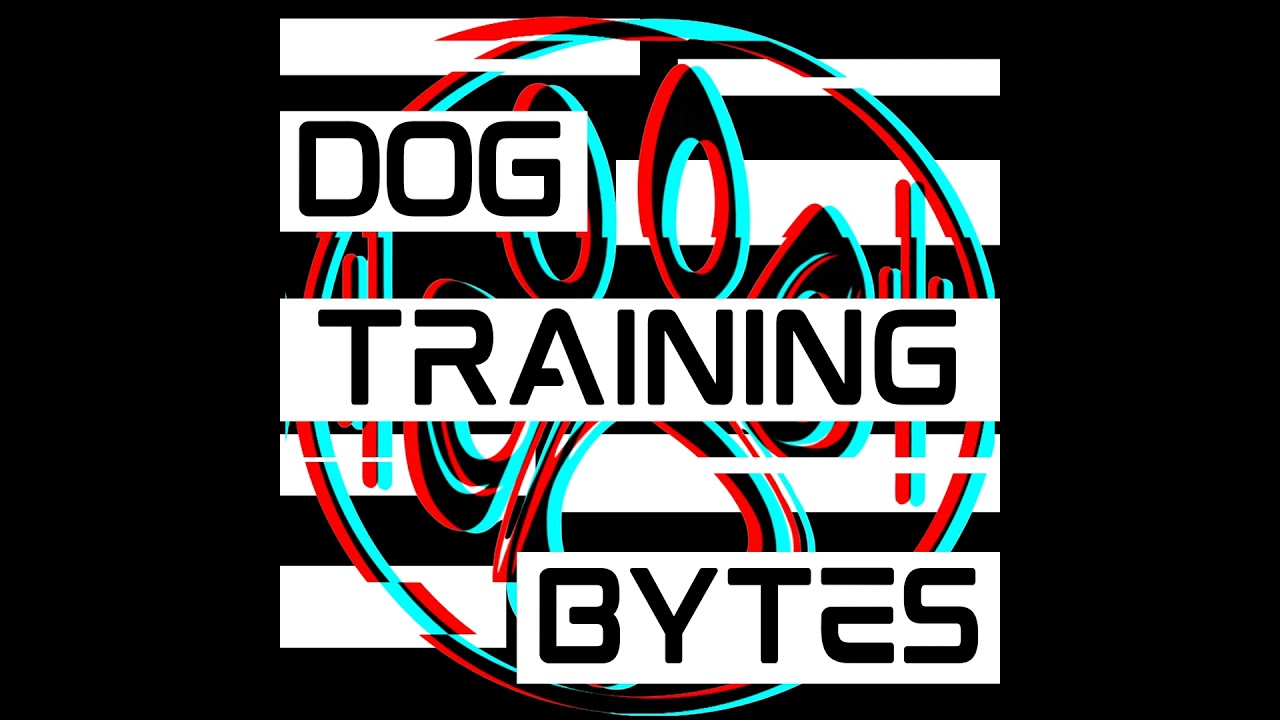Ep 37: Daphne Mendoza-Tervanis (A Dog Trainer Life)