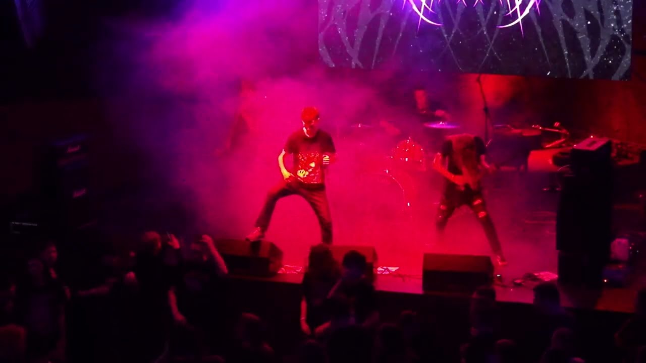Dendrobium - Live @ Реактор 22.02.2025